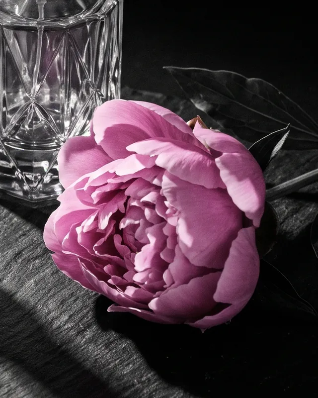 Belleza, detalle